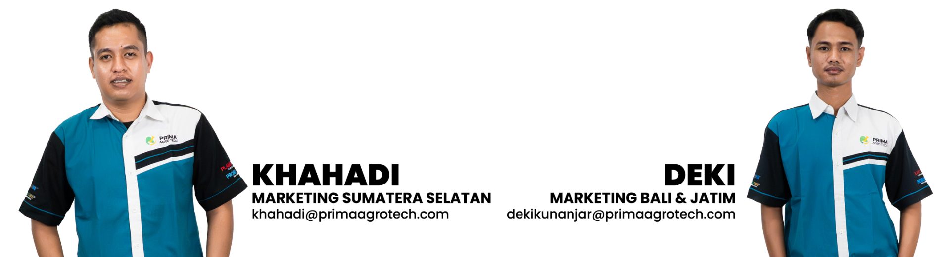 MEET OUR TEAMSMEET OUR TEAMS 4